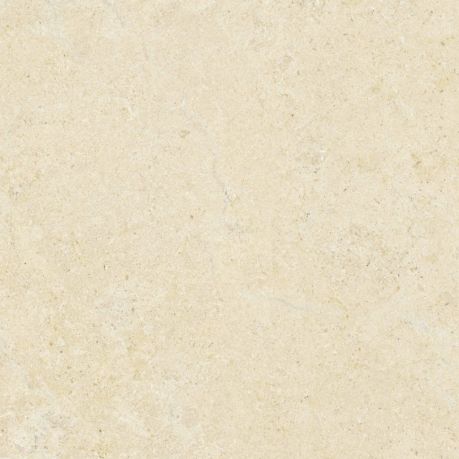 PLATINUM 60X60 JORDAN CREAM